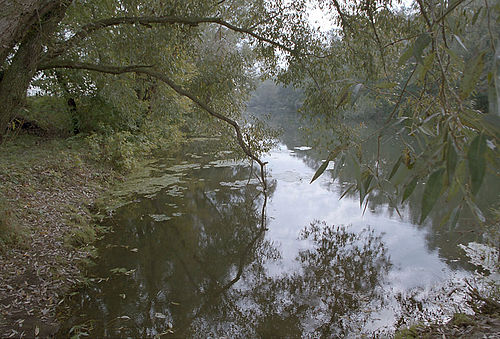 Vozha River